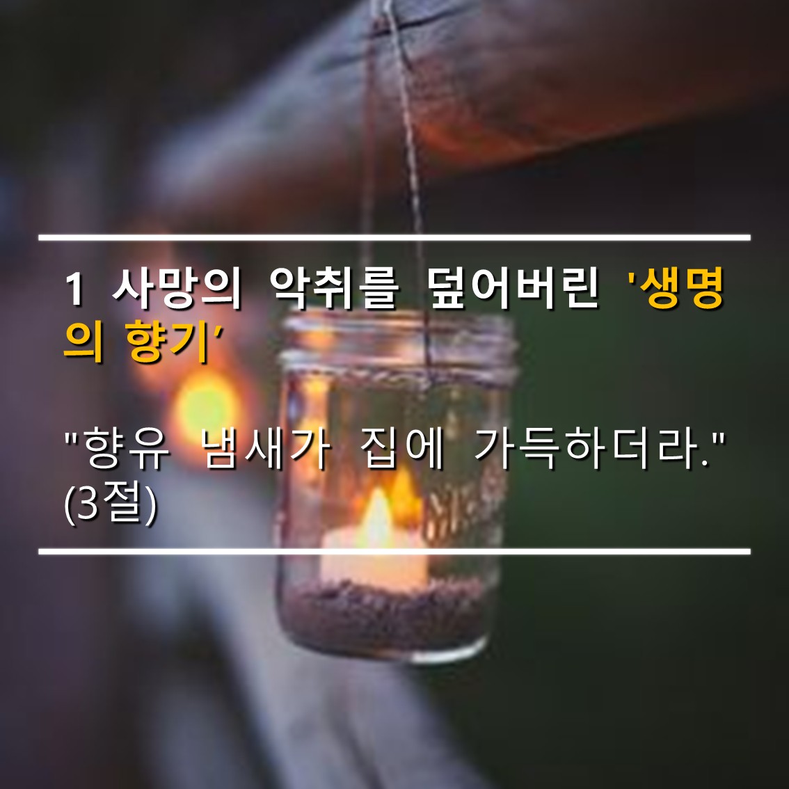 슬라이드3.JPG